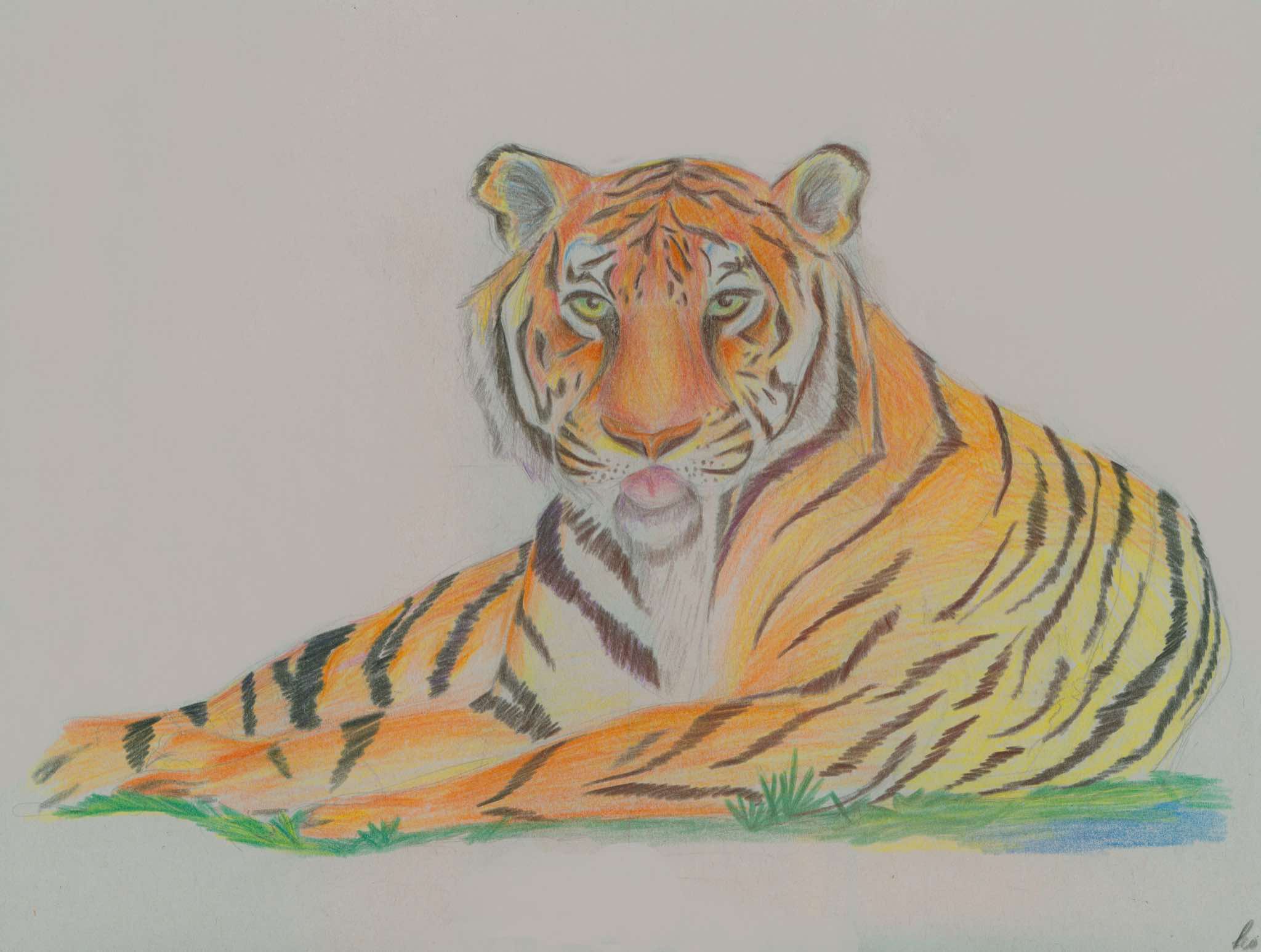 JGHS 2011-2012 Colored Pencil Animals